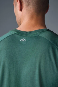 Triumph Raglan Tee - Winter Ivy -Alo Yoga Shop M1133R 05819 b1 s1 a5 1 m180