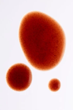 Immunity Rescue Shot - 10 Pack -Alo Yoga Shop N1008M 00 b1 a2